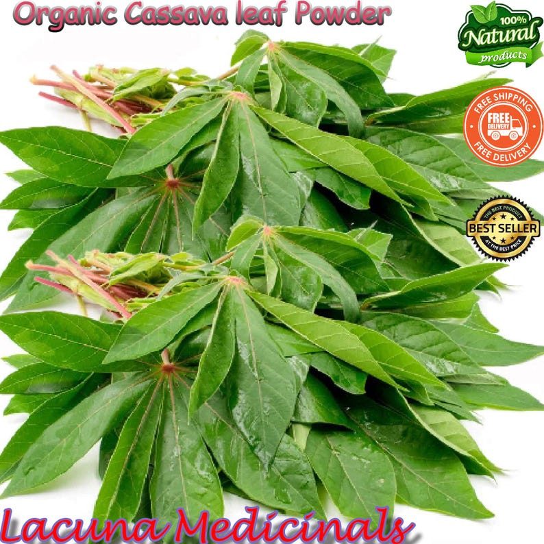 Organic Cassava Leaf Powder, Freshly Made Manihot Esculenta - Etsy