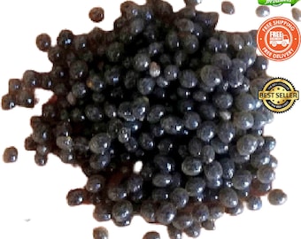 Red Royal Papaya Samen: Florida & Zwerg Red Lady Sorten