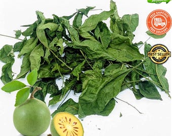 Organic Dried Bael Leaves: Freshly Dehydrated Bael Leaf Tea