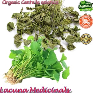 Organic Gotu Kola, Centella asiatica, Whole Plant Cut & Sifted, Loose Dried Leaf Herbal Tea, Freshly Air Dehydrate