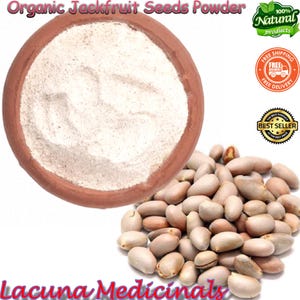 Jackfruit seeds powder, Rich fiber dietary Supply, Jack Fruit Powder Unripe Flour Ground Premium Quality, BULK