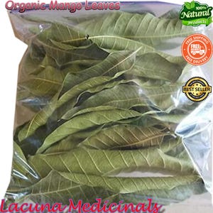Mango leaf, organic mango leaves, 100% Organic, Herbal Mango Leaf Tea ,Freshly Pick Air Dehydrate To Orders