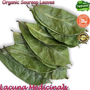 Graviola Leaf, Organic Soursop Leaf, 100% Pure Freshly Air Dry To Orders, Annona muricata, Non-Gmo
