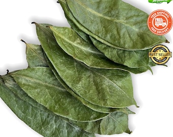 Organic Graviola Leaf: Freshly Air Dried Soursop (Non-GMO)