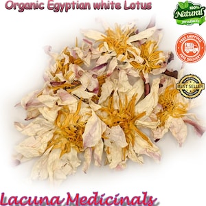 Organic White Lotus Tea: Egyptian Herbal Tea for Meditation