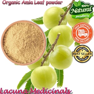 Amla Leaves Powder, 1 Kg Bulk, Pure Organic Wild Harvested ,Indian Gooseberry Leaf Powder