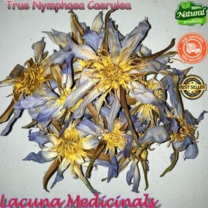 True Nymphaea Caerulea, 250 Grams Bulk, Rare Authentic Blue Lotus, True Nymphaea Caerulea Dried Flowers, Freshly Pick For Orders