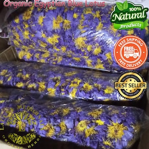 Organic Egyptian Blue Lotus, 5KG BULK Whole Flowers, Meditation Tea, Premium Blue Lotus Flowers, Chakra Lotus, Freshly Made To Orders