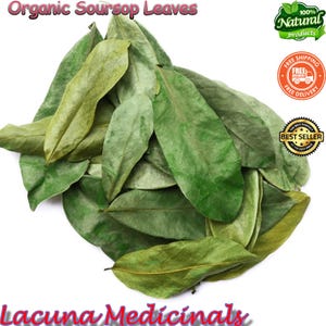 Graviola Leaf, Soursop Leaf, 100% Pure Organic, Annona muricata, Non-Gmo ,Freshly Air Dry To Orders