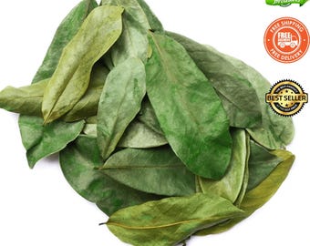 May include: A collection of organic soursop leaves, displaying shades of green and yellow-green. The image features the text "Organic Soursop Leaves" and "Lacuna Medicinals". Additional text includes "100% Natural products", "Free Shipping", and "Best Seller".