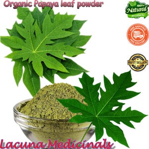 Papaya Leaf Powder, Organic Carica papaya Leaf Powder, Dry Paw Paw Leaf Powder, Pure Natural, Air Dehydrate To Orders