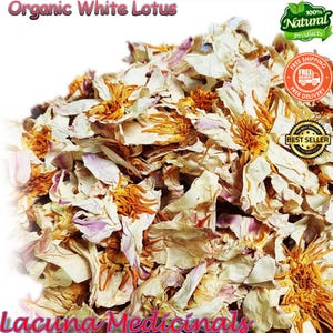 25 Grams Organic Egyptian White Lotus, Premium White Lotus Flowers, Meditation Tea, Tea for Yoga, Buddhism
