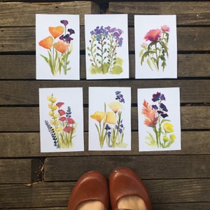 Wildflower Watercolor Art Prints | Botanical Floral Set 5x7