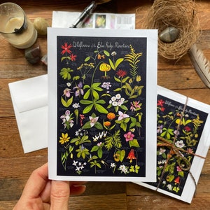 Set di 4 fiori selvatici delle Blue Ridge Mountains / biglietti di auguri vuoti / biglietti vuoti / A5 / biglietti floreali 4,5 x 6,25&quot; biglietti di ringraziamento, riciclati