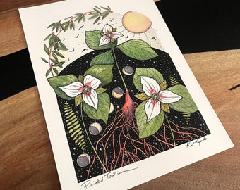 Painted Trillium Moon , illustration, magick, enchanted forest.  fine art print, wildflower, oracle deck Kat Ryalls