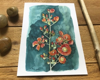 Desert Globemallow Wildflower Watercolor Fine Art Print, home decor, wall art, botanical watercolor, Sedona, desert flower, super bloom