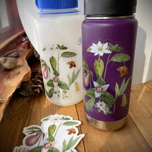 Blue Ridge Wildflowers, clear vinyl weatherproof sticker, decal, watercolor, bloodroot, pink lady slipper, trillium image 2