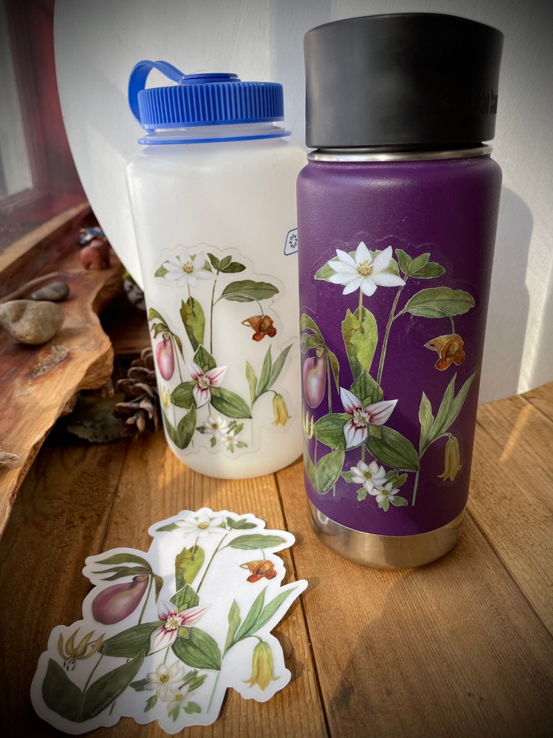 Blue Ridge Wildflowers, clear vinyl weatherproof sticker, decal, watercolor, bloodroot, pink lady slipper, trillium image 2