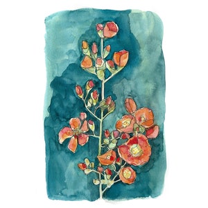 Globemallow watercolor print on Canvas
