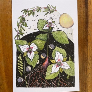 Trillium Forest, illustratie, magie, betoverd bos.  fine art print, tekening, wilde bloem, zwart-wit Kat Ryalls