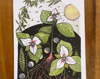 Trillium Forest, illustration, magick, enchanted forest.  fine art print, drawing, wildflower, black and white Kat Ryalls