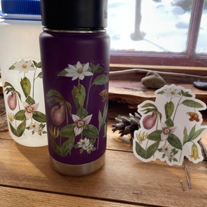 Blue Ridge Wildflowers, clear vinyl weatherproof sticker, decal, watercolor, bloodroot, pink lady slipper, trillium image 5