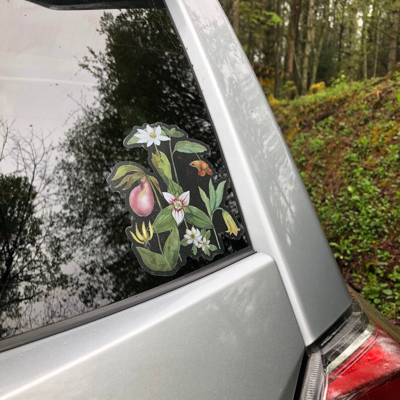 Blue Ridge Wildflowers, clear vinyl weatherproof sticker, decal, watercolor, bloodroot, pink lady slipper, trillium image 10
