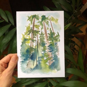 Pine Trees Pacific Northwest Ponderosa Watercolor National Park Print