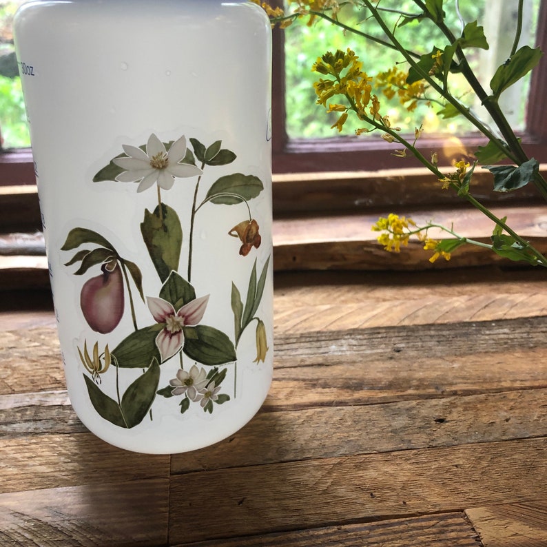 Blue Ridge Wildflowers, clear vinyl weatherproof sticker, decal, watercolor, bloodroot, pink lady slipper, trillium image 4