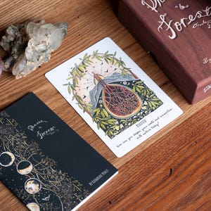 Deck Phases et Forêts Oracle par Kat Ryalls
