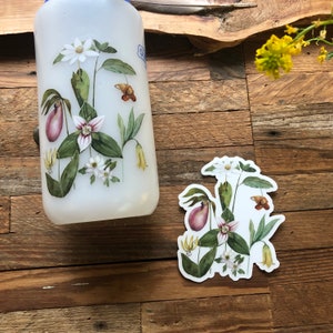 Blue Ridge Wildflowers, clear vinyl weatherproof sticker, decal, watercolor, bloodroot, pink lady slipper, trillium image 9