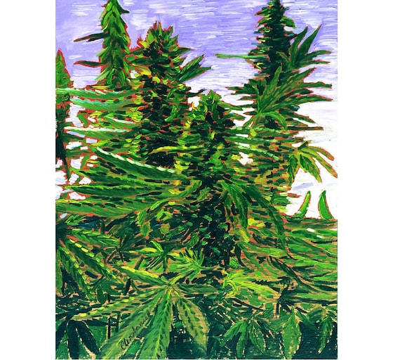大麻の絵画、マリファナ愛好家への贈り物、男性向けアート、マリファナ