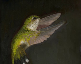 Grace in the Dark—Ruby-Throated Hummingbird