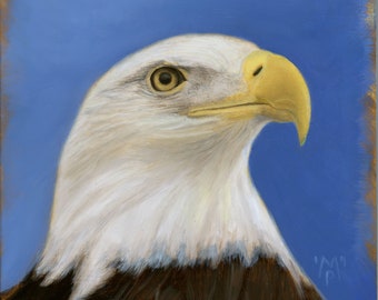 The Lady of Charlotte -- Bald Eagle Portrait