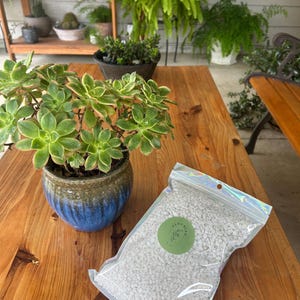 May include: A green succulent plant in a blue and brown ceramic pot sits on a wooden table next to a bag of white pebbles. The bag has a green circular sticker with the word "flourish" on it. Other potted plants are in the background.