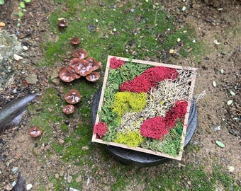 Cuadro pequeño cuadrado de musgo color moca para pared.