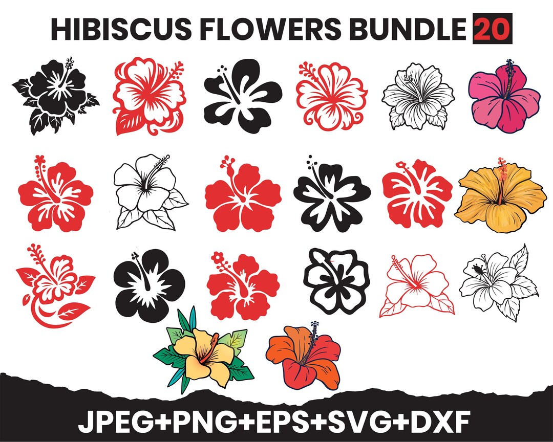 Hibiscus Flowers SVG Bundle | Tropical Floral Clipart, Hawaiian Designs ...