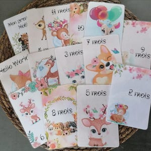 Cartes étapes bébé Animaux de la forêt _ lot de 14 cartes