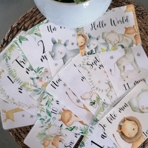 Cartes étapes bébé Safari _ lot de 14 cartes