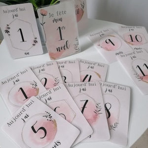 Cartes étapes bébé champêtre fille _ lot de 14 cartes