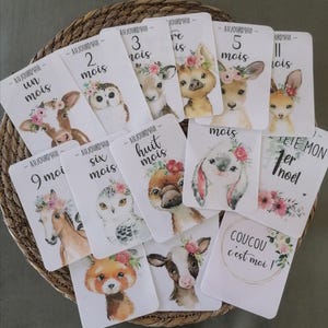 Cartes étapes bébé Animaux fleurs _ lot de 14 cartes