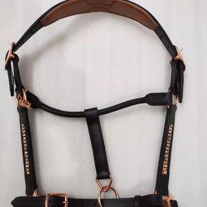 Handmade Leather Horse Halter: Padded Equestrian Halter