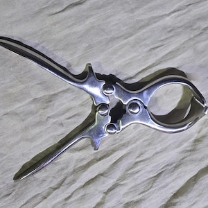 May include: A shiny, silver-colored nutcracker with a hinged design. The nutcracker has a circular opening on one end and a pointed lever on the other. The tool is made of metal and has a polished finish.