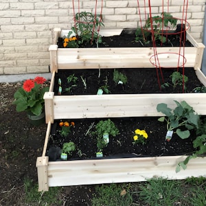 3 Tier Pflanzkasten aus Zedernholz | Erhöhtes Gartenbeet | Outdoor Pflanzkasten | Erhöhter Garten Planter | Erhöhter Blumenkasten | Pflanzkasten aus Holz