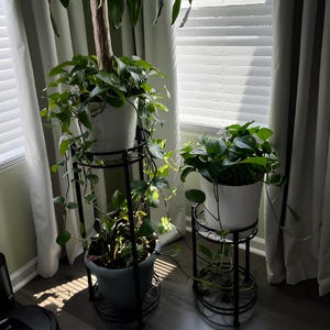 Modern Metal Plant Stand Set: Indoor Outdoor Tiered Display