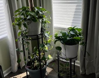 Modern Metal Plant Stand Set: Indoor Outdoor Tiered Display