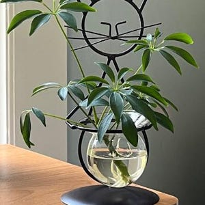 Modernt kattterrarium i metall för hydroponiska växter, växtställ för inomhusbruk, blomställ för inomhusbruk, krukställ för inomhusbruk