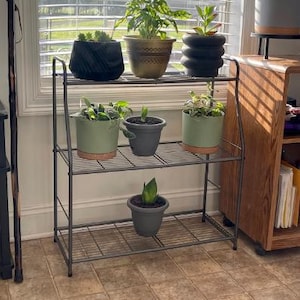 Może przedstawiać: Trzypoziomowy, ciemnoszary metalowy stojak na rośliny z różnymi roślinami doniczkowymi. Rośliny znajdują się w donicach o różnych rozmiarach i obejmują różnorodną zieleń. Stojak jest ustawiony przed oknem z żaluzjami.