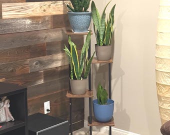 campos philodendron Philodendron Camposportoanum
