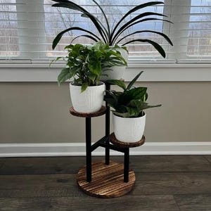 Może przedstawiać: Czarny metalowy stojak na rośliny z trzema poziomami, każdy z drewnianym blatem. Stojak trzyma trzy rośliny w doniczkach, jedną z zielonymi liśćmi, jedną z ciemnozielonymi liśćmi i jedną z długimi, ciemnozielonymi liśćmi.